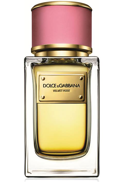 dolce gabbana perfume women|dolce and gabbana unisex fragrance.